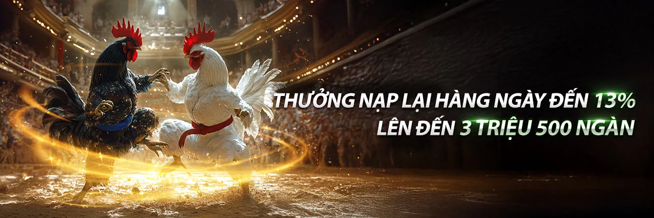 Sân đấu gà kịch tính tại vlxx88